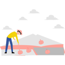 پیش‌نمایش فایل farmer-picking-pumpkins-in-field-10464337 از پک مزرعه
