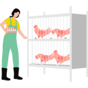 پیش‌نمایش فایل girl-collecting-eggs-from-the-hens-cage-10464360 از پک مزرعه