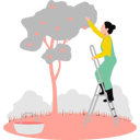 پیش‌نمایش فایل girl-plucking-fruit-from-tree-10464322 از پک مزرعه