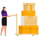 پیش‌نمایش فایل girl-is-carrying-a-trolley-of-packages-10698650 از پک جعبه