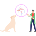 پیش‌نمایش فایل doctor-is-examining-a-dog-10752750 از پک شغل