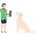 پیش‌نمایش فایل veterinarian-is-examining-a-dog-10752607 از پک شغل