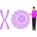 پیش‌نمایش فایل boy-is-looking-at-the-chromosomes-10795676 از پک بیوتکنولوژی