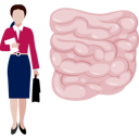 پیش‌نمایش فایل girl-with-file-standing-near-human-colon-14360423 از پک کولون و روده بزرگ
