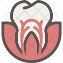 پیش‌نمایش فایل dental-171 از پک مجموعه رنگی دندانپزشکی