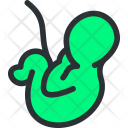 پیش‌نمایش فایل embryo-2 از پک مجموعه بزرگ پزشکی - سبز