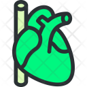 پیش‌نمایش فایل hearth-1 از پک مجموعه بزرگ پزشکی - سبز
