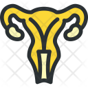 پیش‌نمایش فایل uterus-16 از پک مجموعه بزرگ پزشکی - زرد