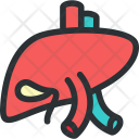 پیش‌نمایش فایل liver-15 از پک مجموعه بزرگ پزشکی - رنگی