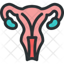 پیش‌نمایش فایل uterus-17 از پک مجموعه بزرگ پزشکی - رنگی