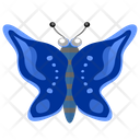 پیش‌نمایش فایل butterfly-5207547 از پک پروانه