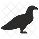 پیش‌نمایش فایل eagle-5207383 از پک پرندگان