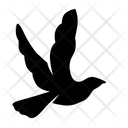 پیش‌نمایش فایل flying-bird-5207371 از پک پرندگان