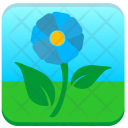 پیش‌نمایش فایل flower-plant-nature-shop از پک مجموعه آیکن مدرن موبایل