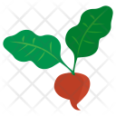 پیش‌نمایش فایل beet-73 از پک Vegetables 