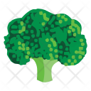 پیش‌نمایش فایل broccoli-93 از پک Vegetables 