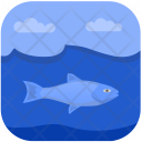 پیش‌نمایش فایل beluga از پک Fishes 