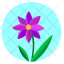 پیش‌نمایش فایل flower-1402 از پک Flowers 