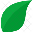 پیش‌نمایش فایل leaf-537 از پک Shapes 