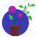 پیش‌نمایش فایل astra-flower-1 از پک گل‌ها، جلد ۱