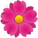 پیش‌نمایش فایل astra از پک Flowers 