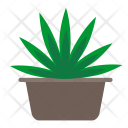 پیش‌نمایش فایل cannabis-plant از پک Flowers 
