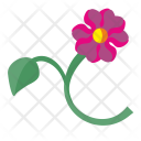 پیش‌نمایش فایل flower-1424 از پک Flowers 