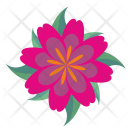 پیش‌نمایش فایل flower-1426 از پک Flowers 