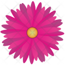پیش‌نمایش فایل flower-1434 از پک Flowers 