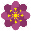 پیش‌نمایش فایل flower-1436 از پک Flowers 