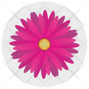 پیش‌نمایش فایل flower-1437 از پک Flowers 