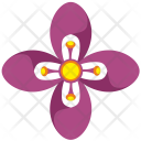 پیش‌نمایش فایل flower-1440 از پک Flowers 