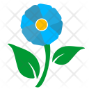پیش‌نمایش فایل flower-1492 از پک برگ