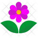 پیش‌نمایش فایل flower-1493 از پک برگ