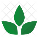 پیش‌نمایش فایل green-tea-6 از پک برگ