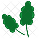 پیش‌نمایش فایل leaf-581 از پک برگ