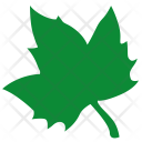 پیش‌نمایش فایل maple-62 از پک برگ