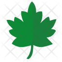 پیش‌نمایش فایل oak-leaf-20 از پک برگ