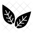 پیش‌نمایش فایل leaves-144 از پک آموزش عالی
