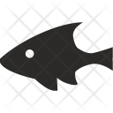 پیش‌نمایش Marine 