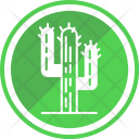 پیش‌نمایش فایل cacti از پک کمپینگ