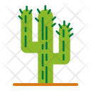 پیش‌نمایش فایل cacti-2 از پک کمپینگ و ماجراجویی