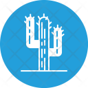 پیش‌نمایش فایل cacti-3 از پک کمپینگ و ماجراجویی