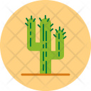 پیش‌نمایش فایل cacti-6 از پک کمپینگ و ماجراجویی