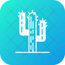 پیش‌نمایش فایل cacti-10 از پک کمپینگ و ماجراجویی