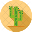 پیش‌نمایش فایل cacti-17 از پک کمپینگ و ماجراجویی