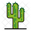 پیش‌نمایش فایل cacti-18 از پک کمپینگ و ماجراجویی