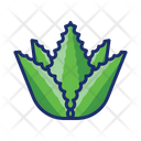 پیش‌نمایش فایل aloe-vera-4671528 از پک گیاهان