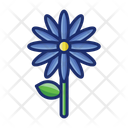 پیش‌نمایش فایل daisy-4671453 از پک گیاهان
