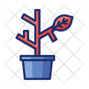 پیش‌نمایش فایل dead-plant-4671455 از پک گیاهان